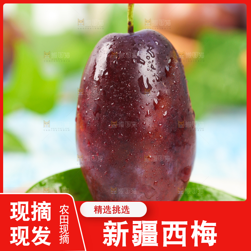 石板上的西梅