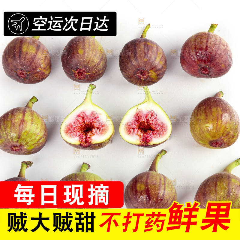 白底上的无花果