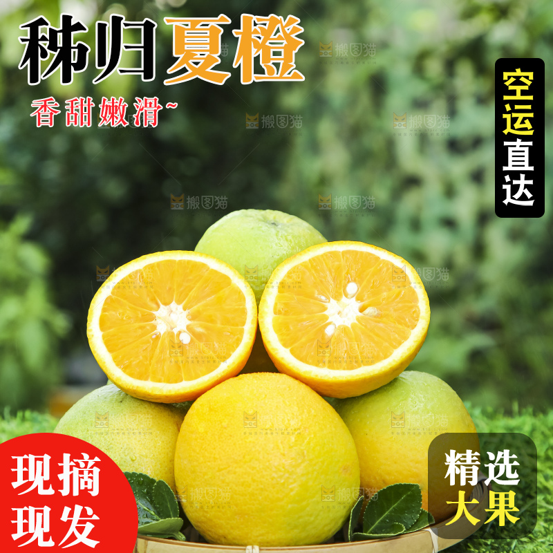 草地上放着一篮夏橙