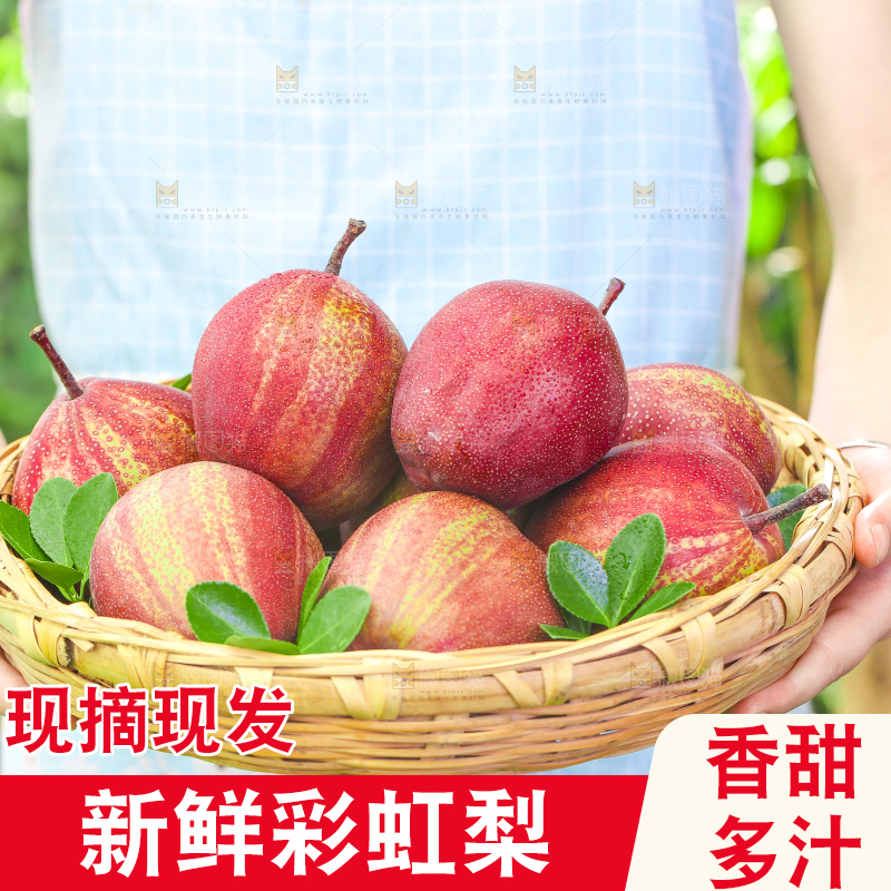 手端一筐陕西彩虹梨