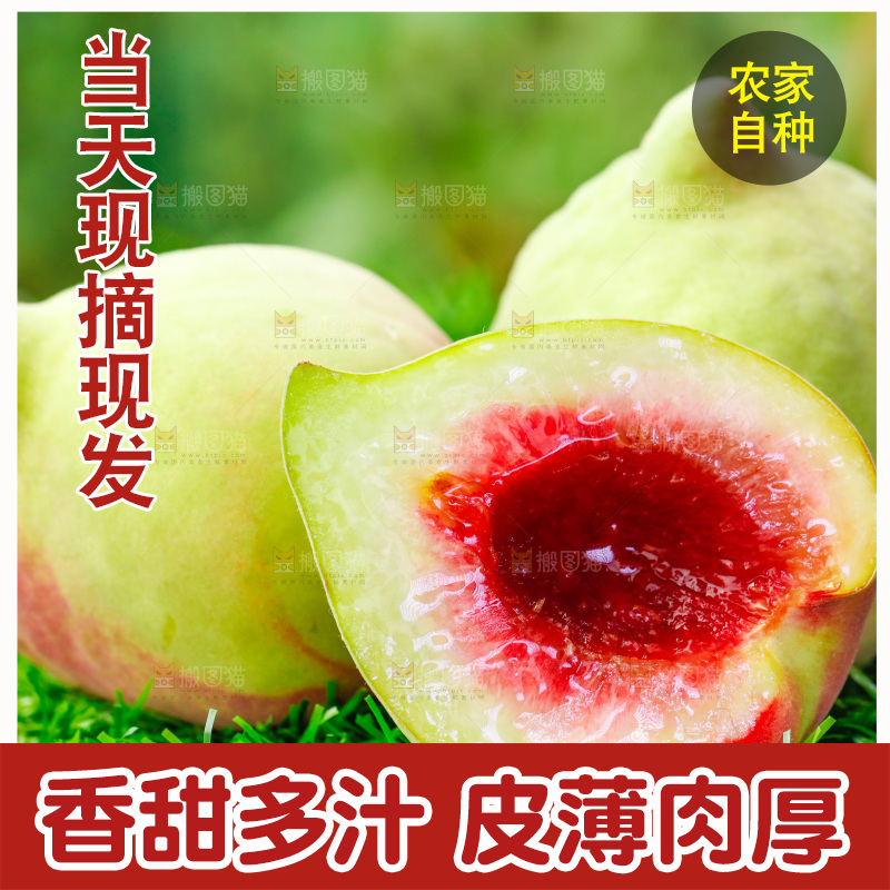 草地上的鹰嘴水蜜桃