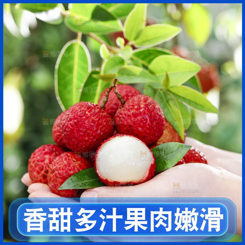 手拿剥皮的荔枝