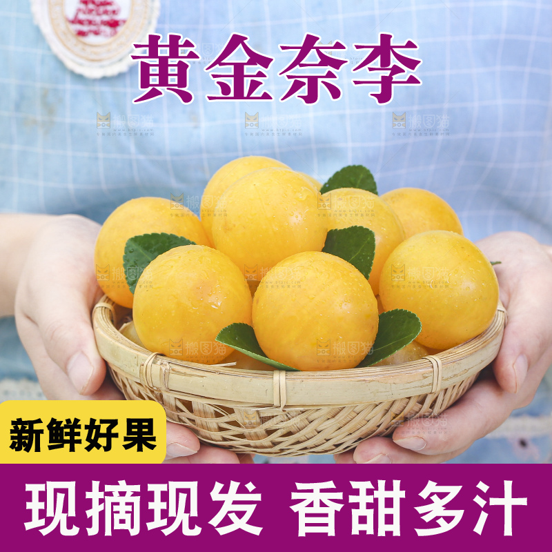 手拿一篮九峰山黄金奈李