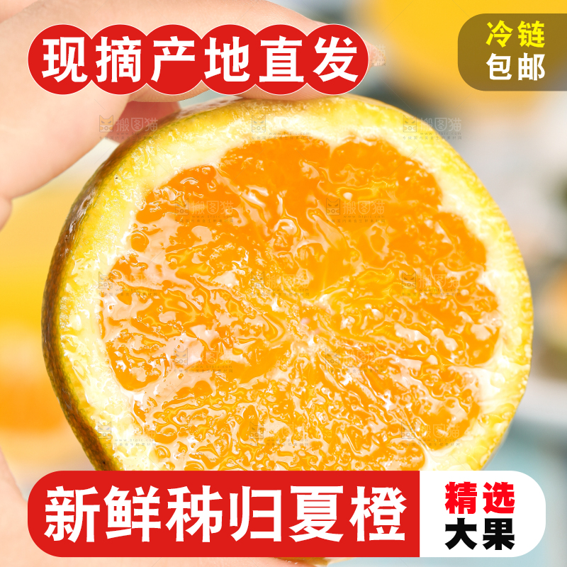 手拿切开的秭归夏橙