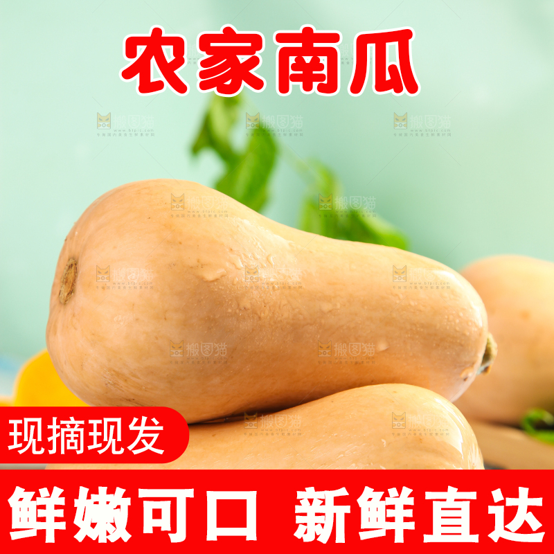 蓝底上放着一盘奶油南瓜