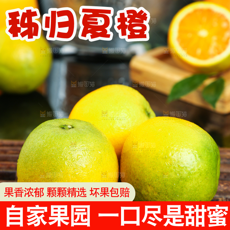 木底上的秭归夏橙