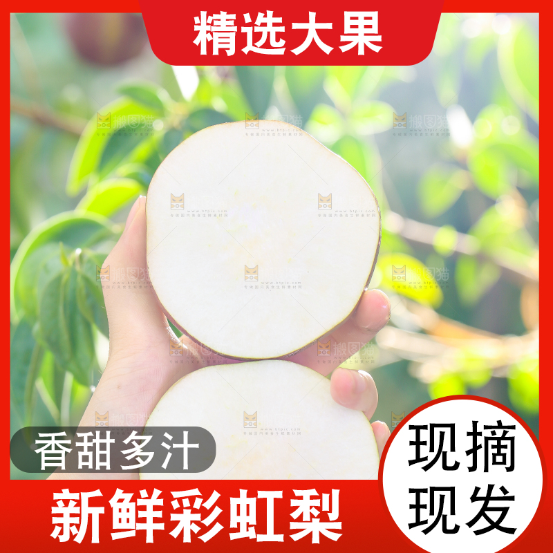 手拿切开的早酥红梨子