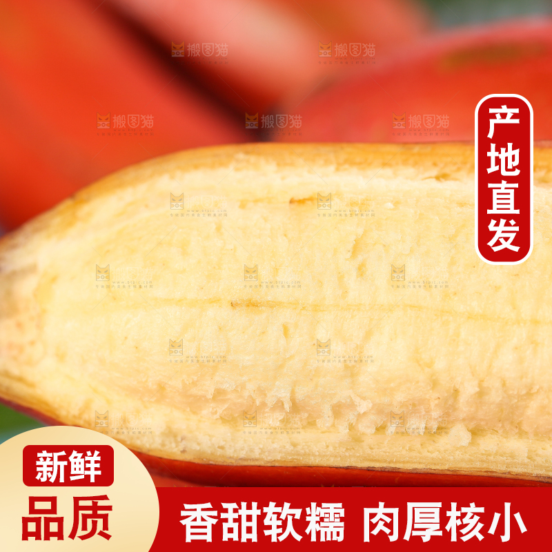 蓝底上的红皮美人蕉