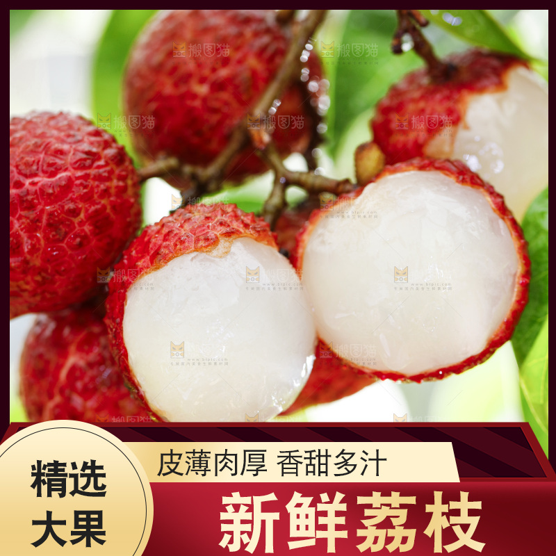 树枝上剥皮的荔枝