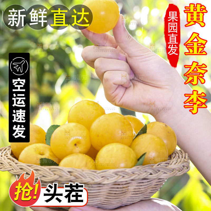 手拿一筐黄金奈李