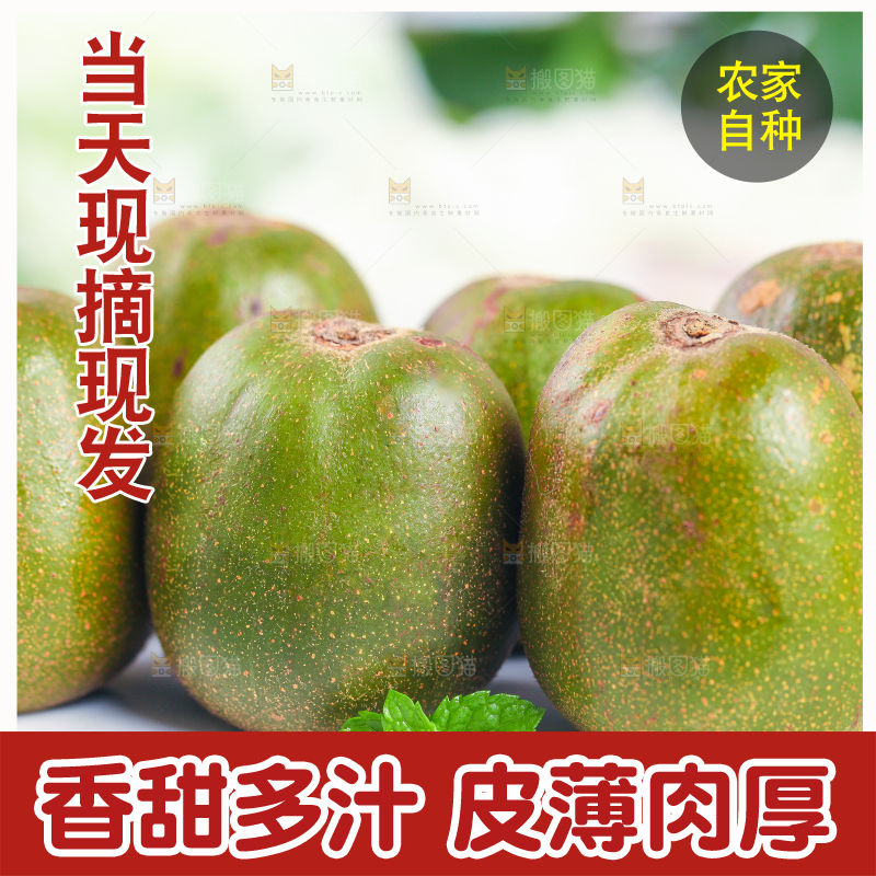 石板上的四川红心猕猴桃