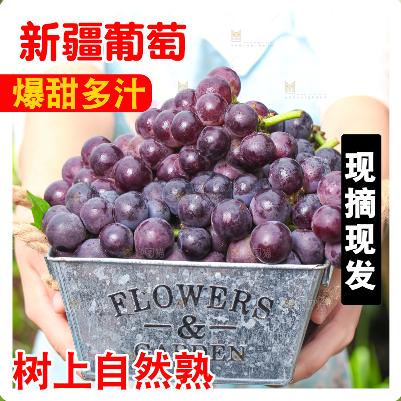 手端一筐巨峰葡萄
