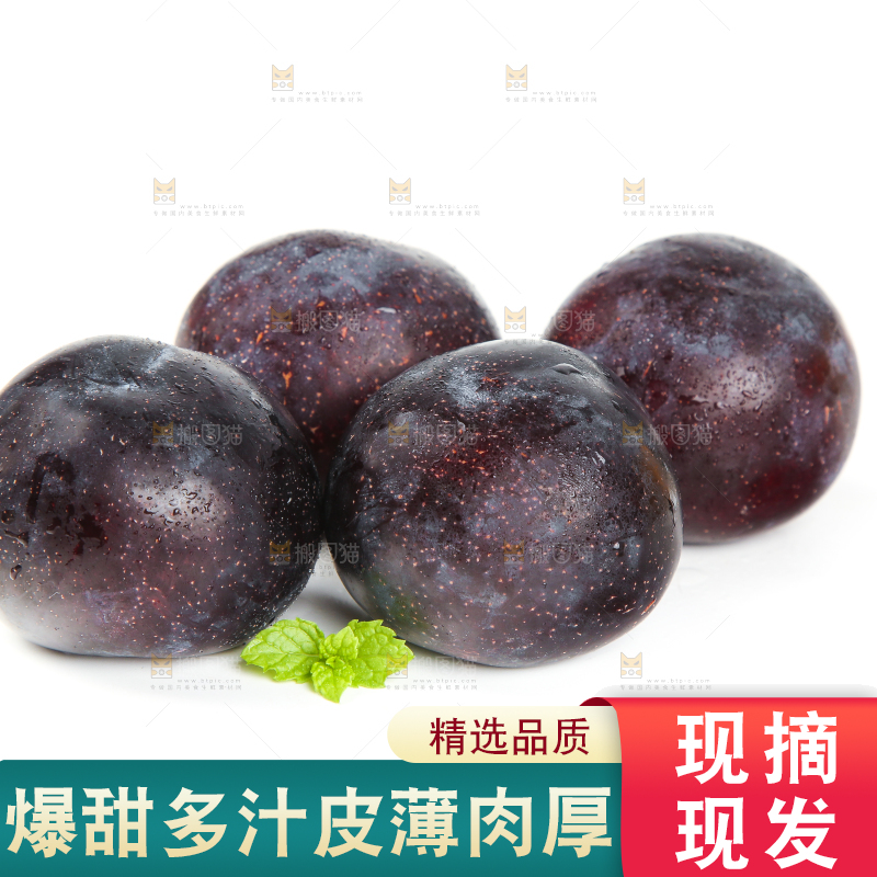 白底上放着智利黑布李