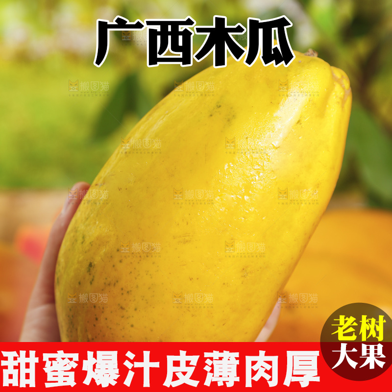 木底上手拿着冰糖心木瓜