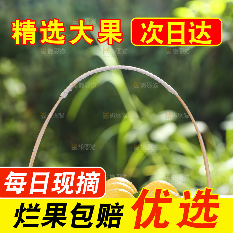 石板上放着一篮黄金奈李