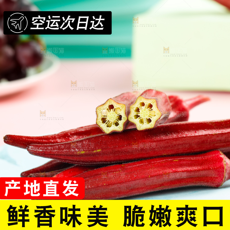 浅底上的红色秋葵