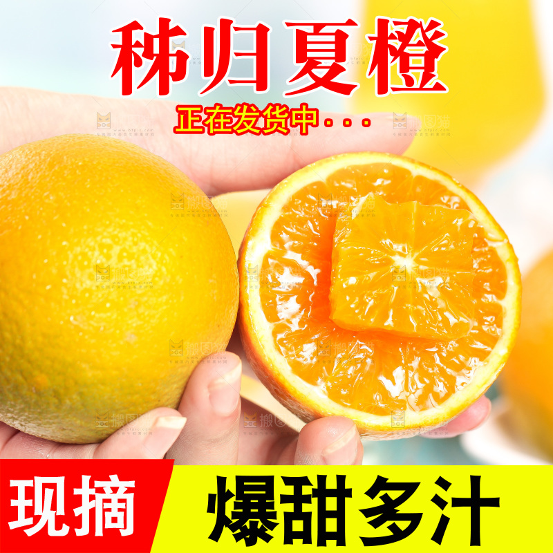 手拿切开的秭归夏橙