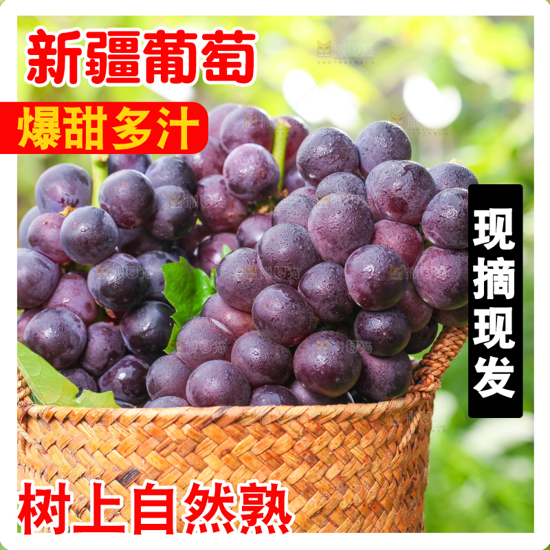 草地上放着一筐巨峰葡萄