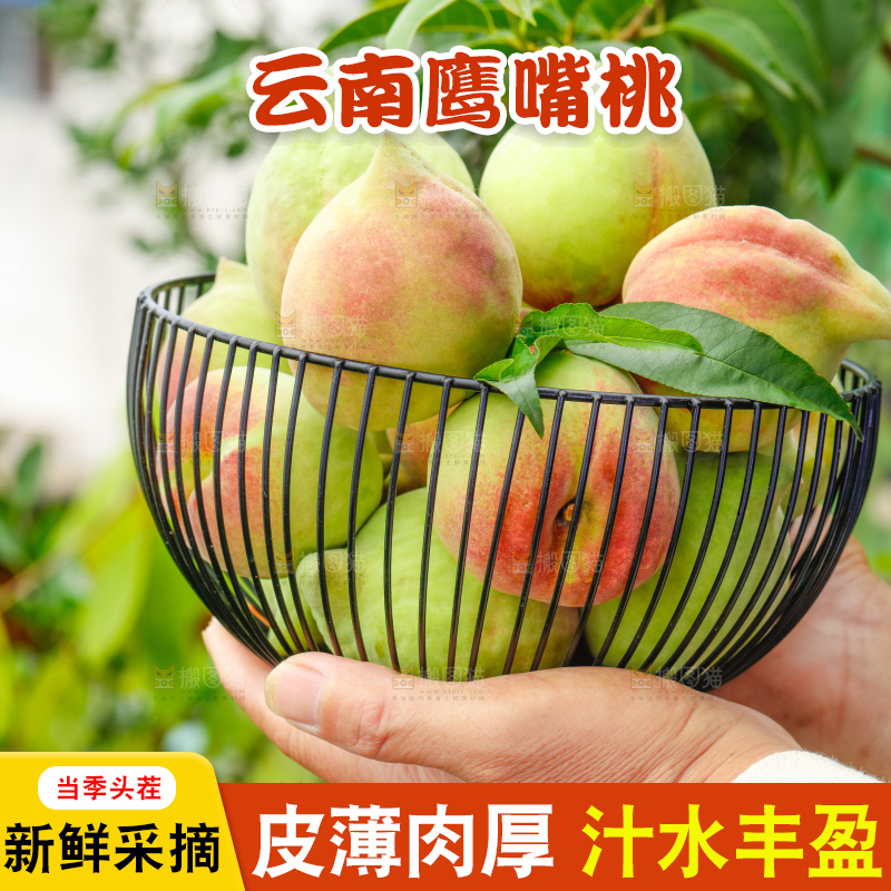 手拿云南鹰嘴黑美人桃子