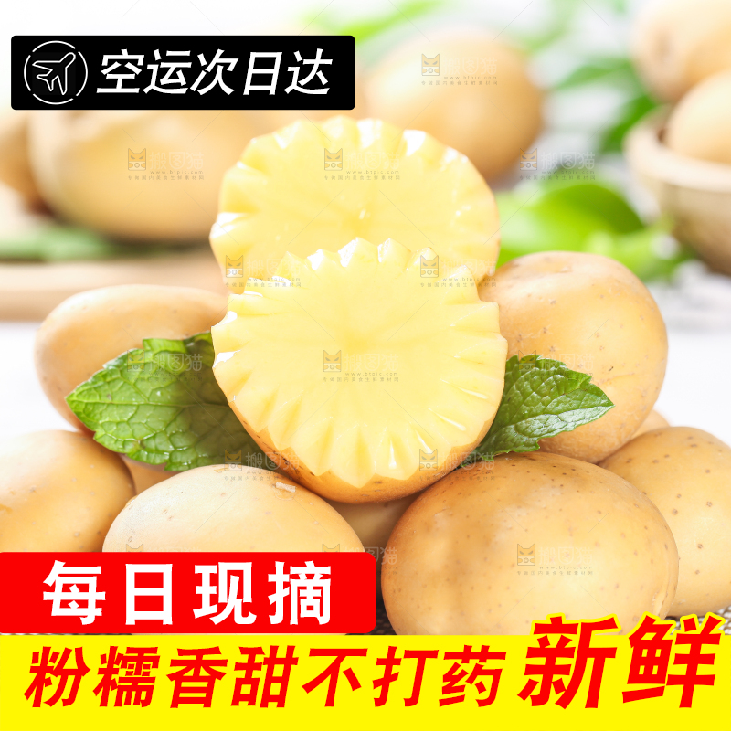 浅底上放着一堆小土豆