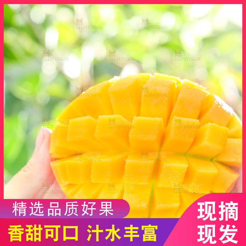 手拿切开的椰香芒果