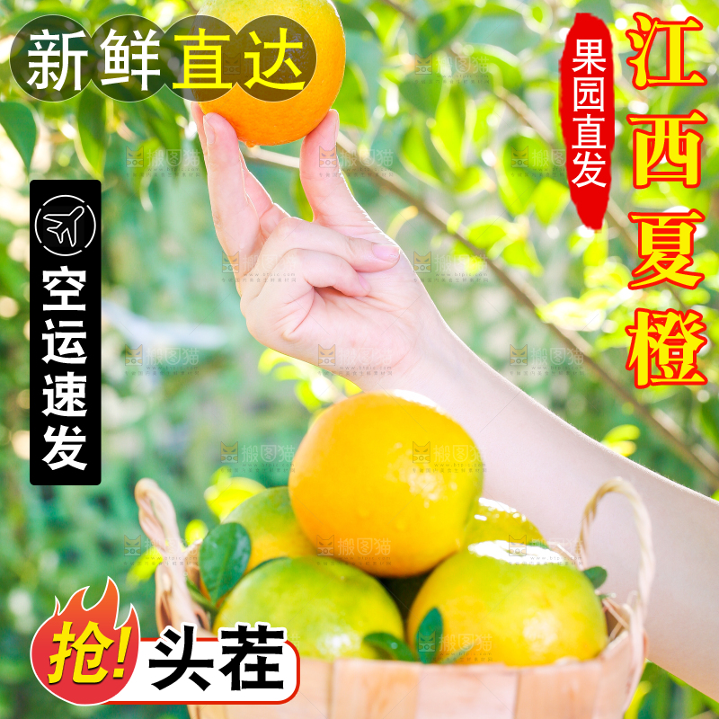 手拿一筐夏橙