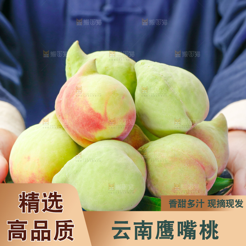 手拿云南鹰嘴黑美人桃子