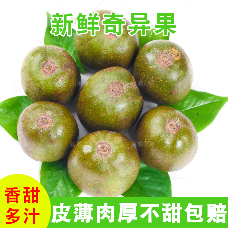 白底上的红心猕猴桃