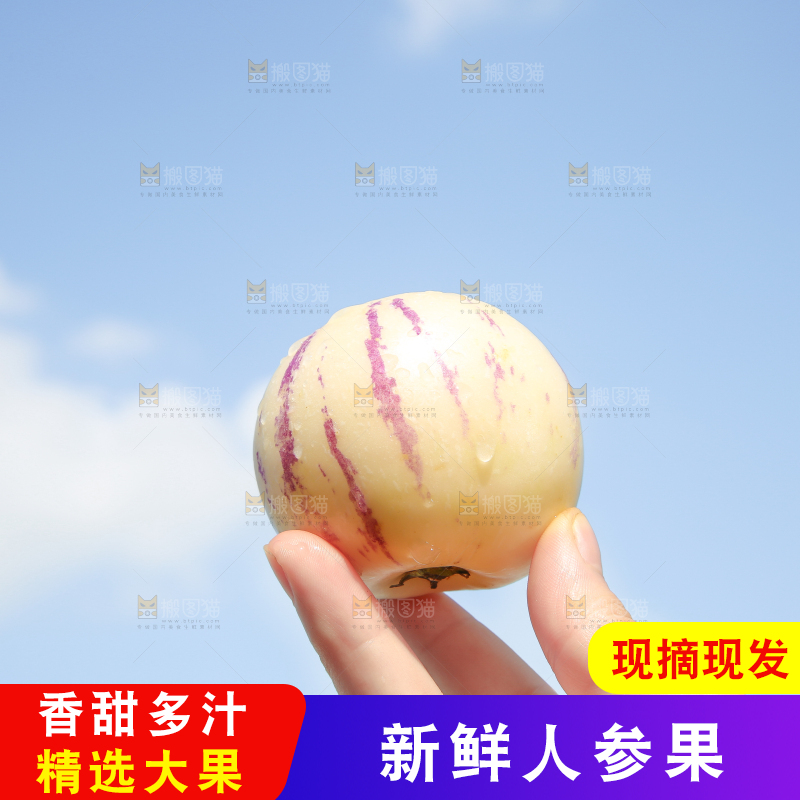 手拿人参果