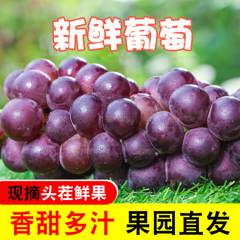 草地上的新鲜葡萄