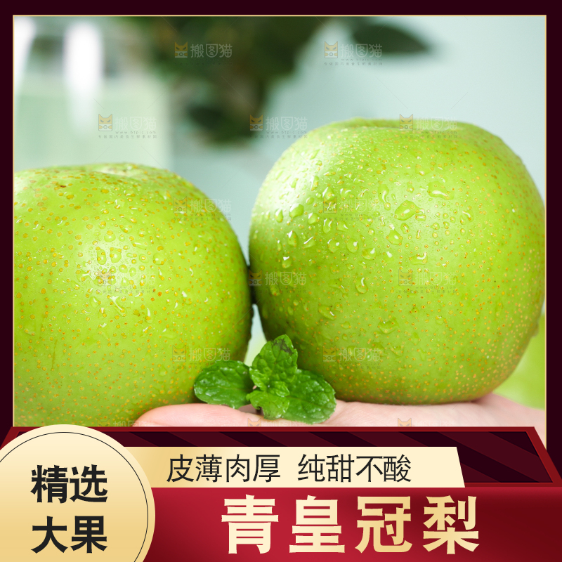 手拿砀山青梨