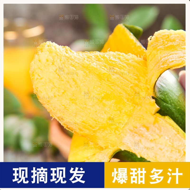 手拿剥皮的田东桂七芒