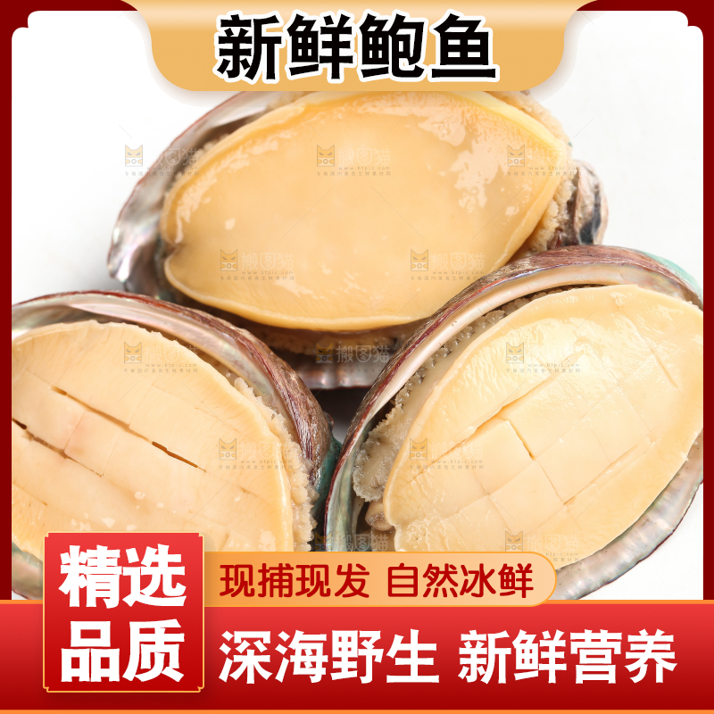 白底上放着鲍鱼