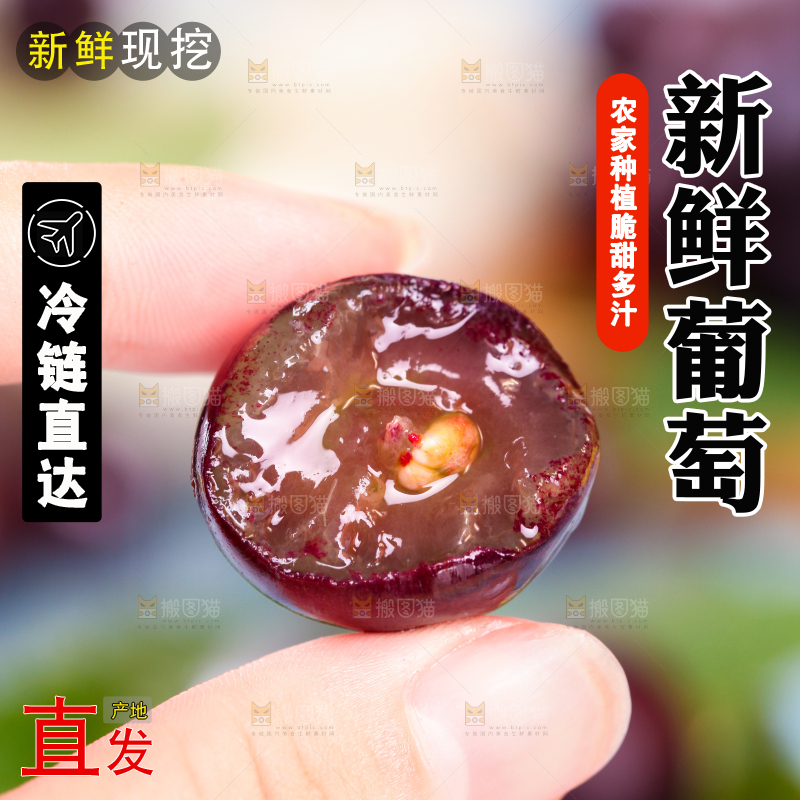 手拿东北巨峰葡萄