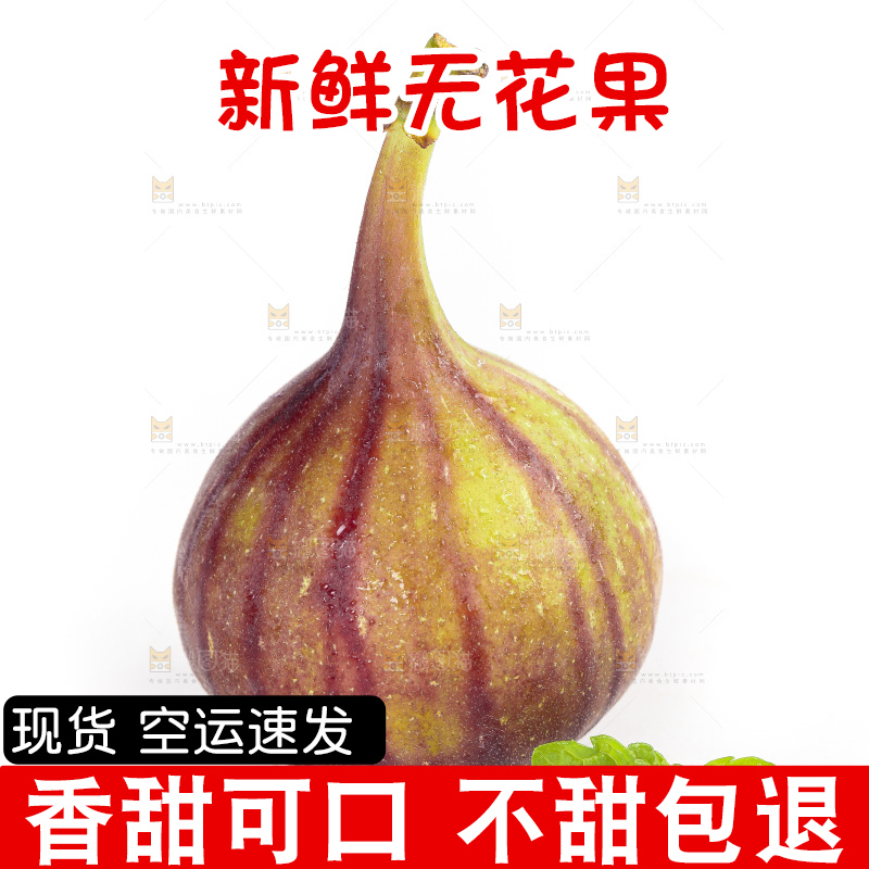 白底上的紫皮无花果