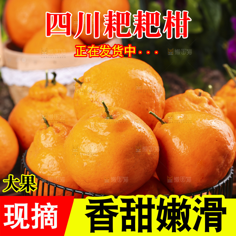 深底上放着四川春见