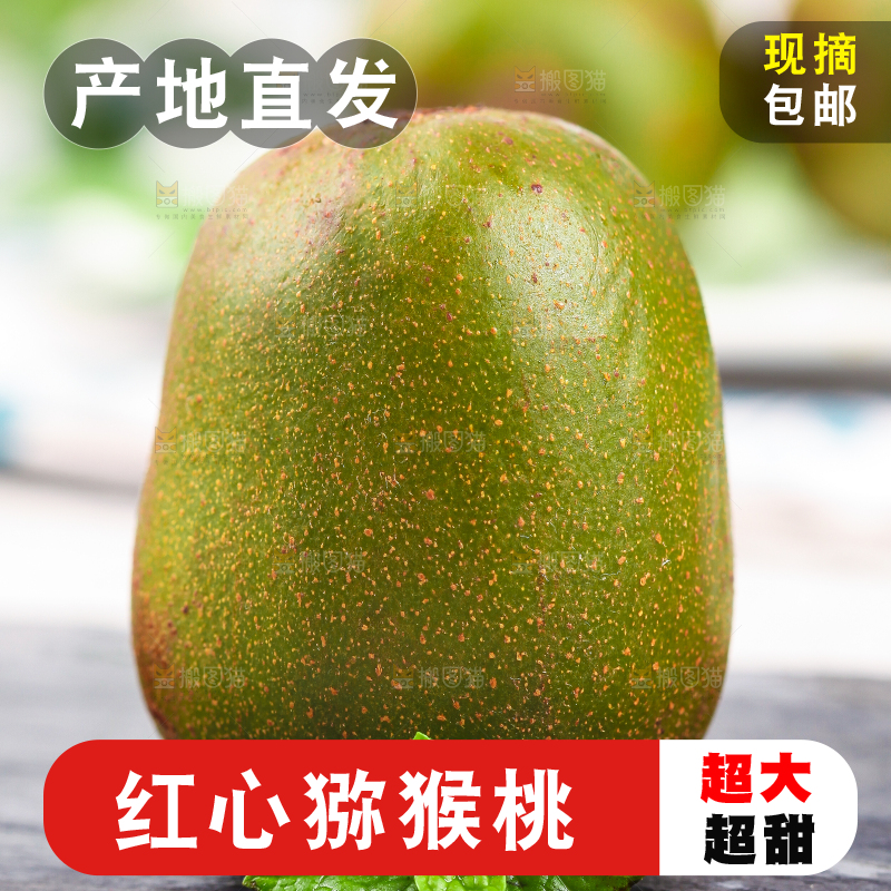 黑石板上的四川红心猕猴桃