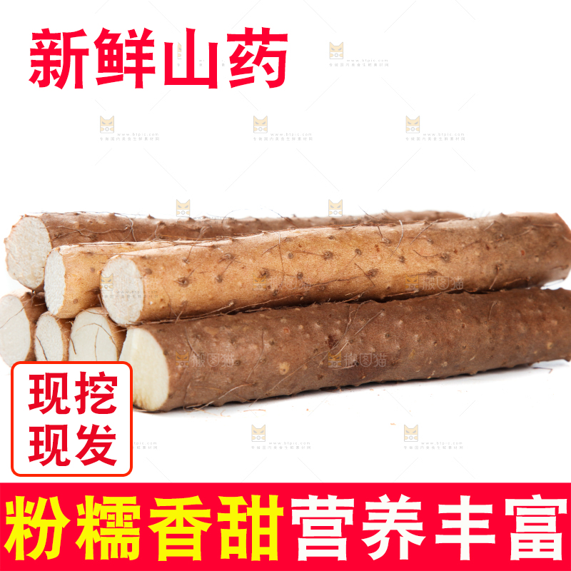 白底上摆放着山药