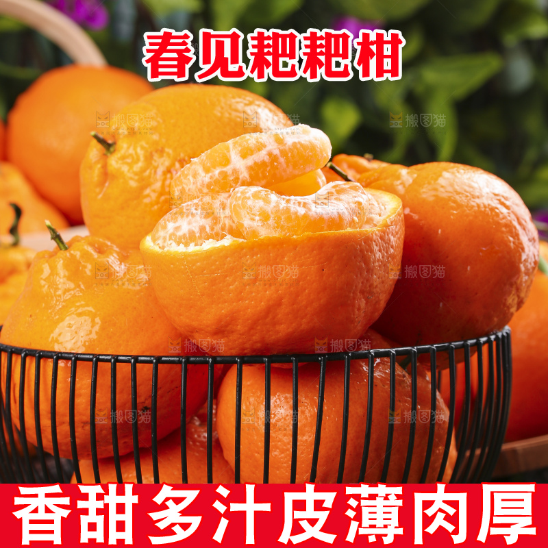 深底上放着四川春见