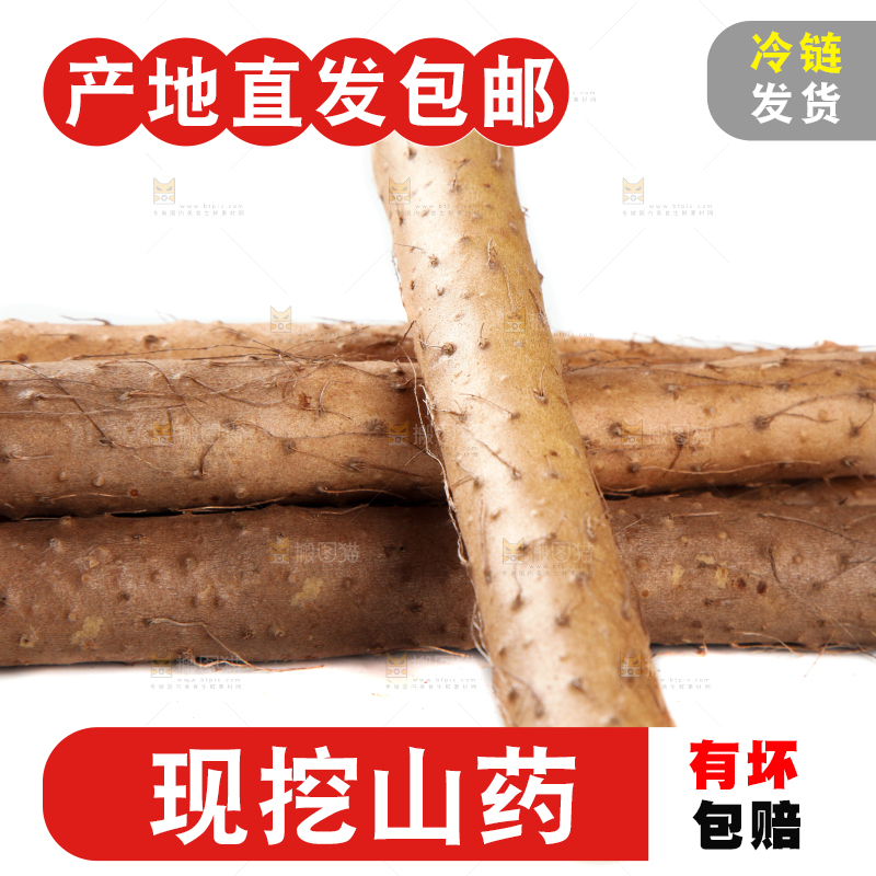 白底上摆放着山药
