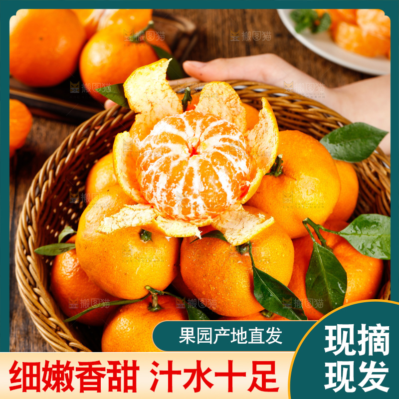 篮子里放着橘子