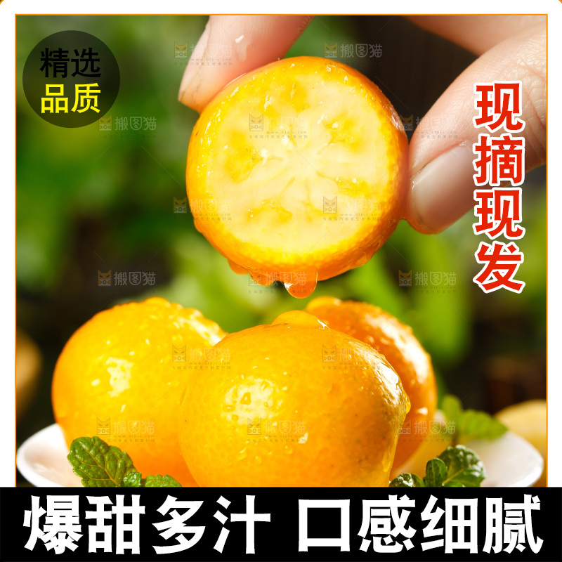 盘子里装着小金桔