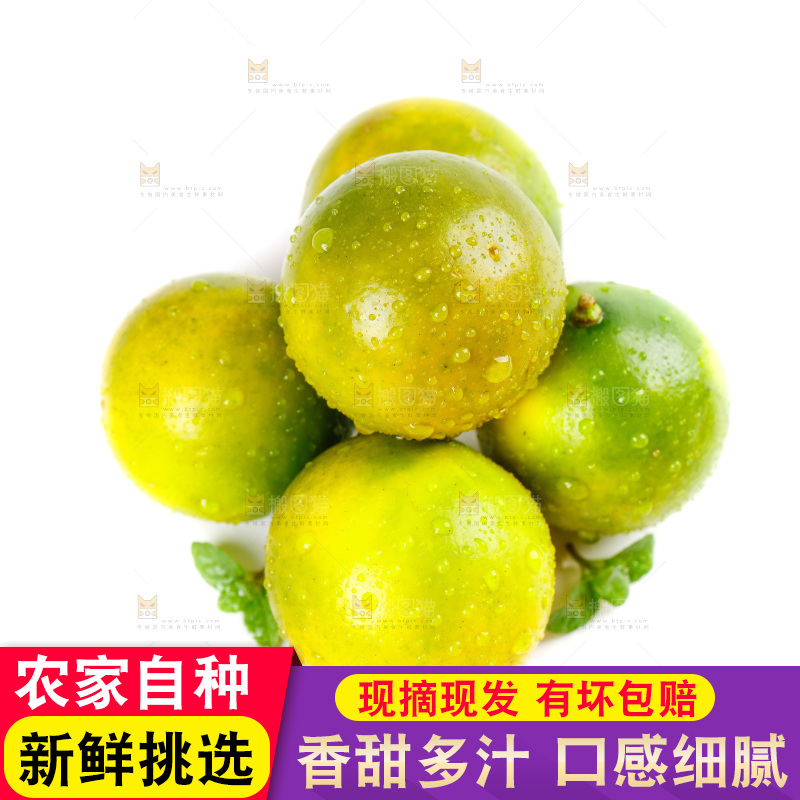 白底上放着金橘