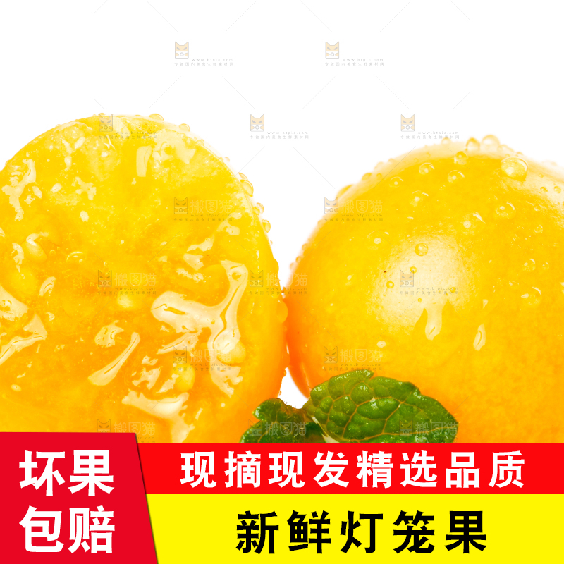白底上摆放着姑娘果