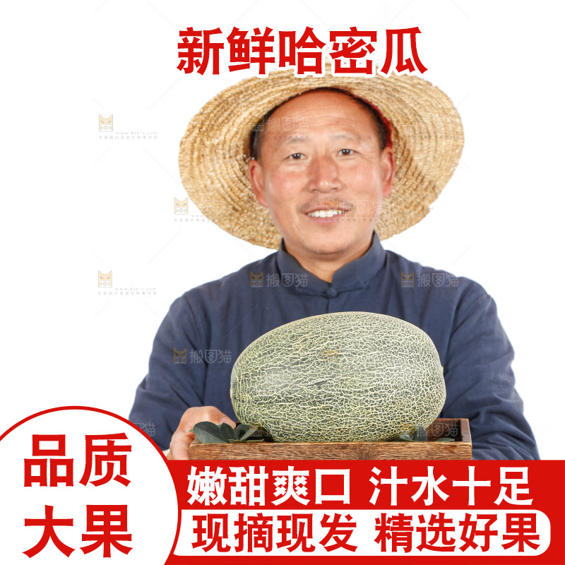农民手里拿着哈蜜瓜