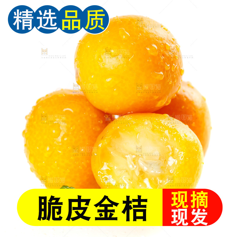 白底上放着小金桔
