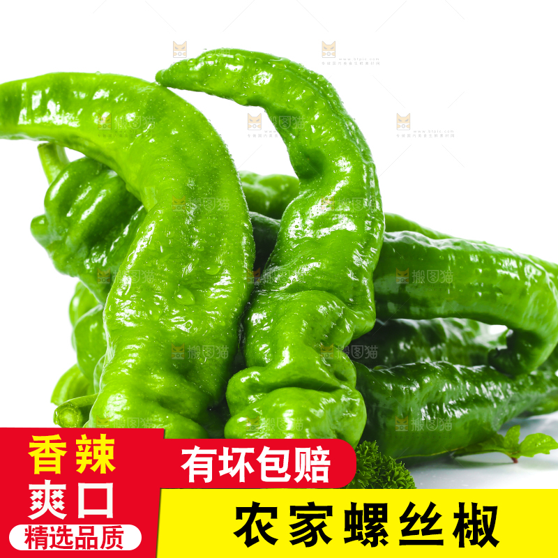 白底上的新鲜螺丝椒
