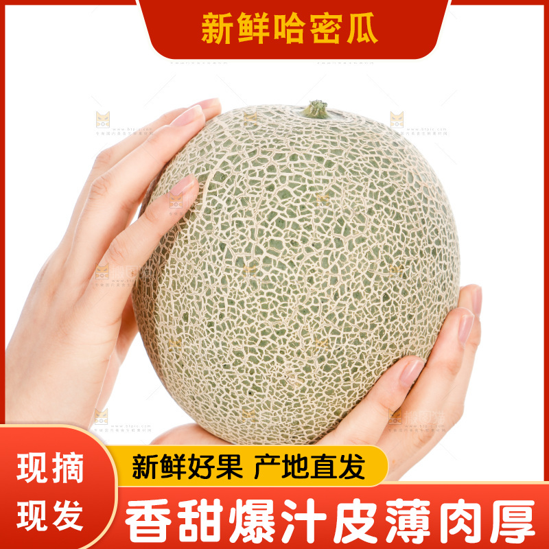 手里捧着哈蜜瓜