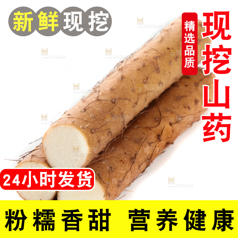 白底上摆放着山药