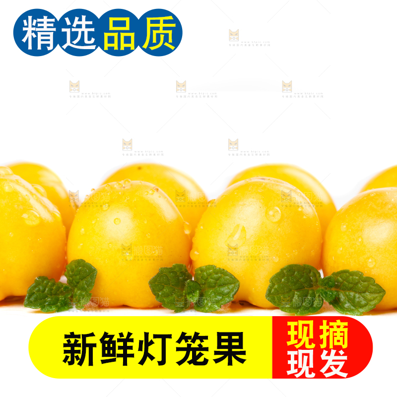 白底上摆放着姑娘果